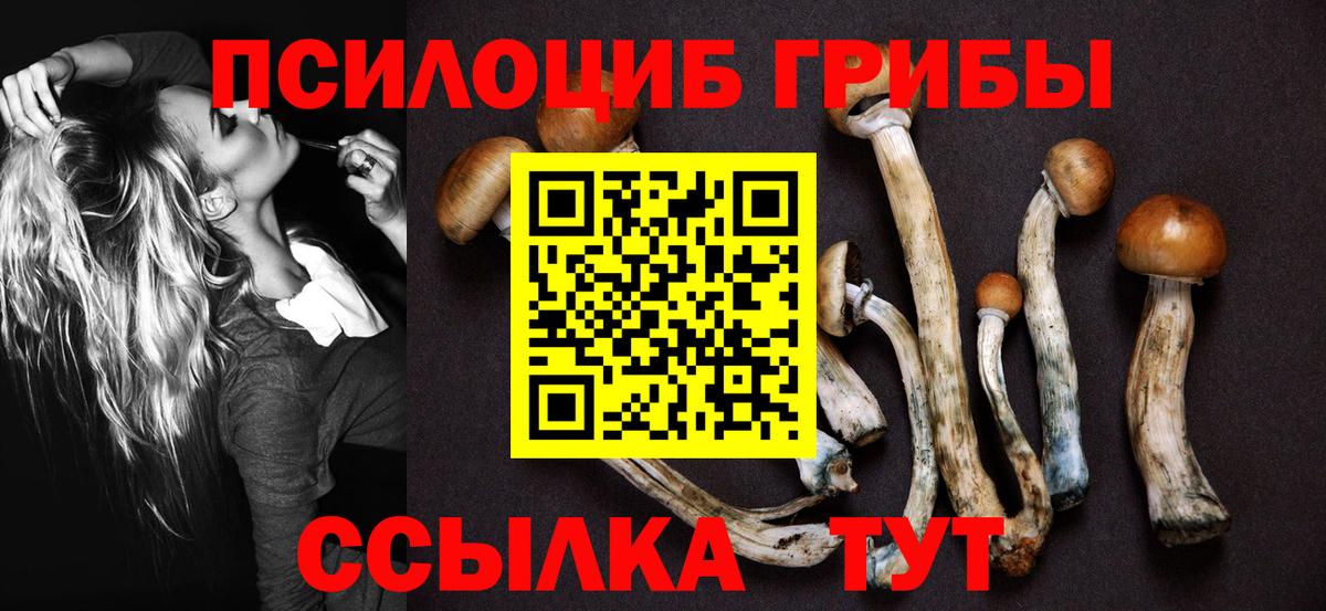 Экстази  APVP СОЛЬ кристаллы  Каннабис  ГАШИШ  Вход с VPN  Лсд 25  МАРИХУАНА  Киреевск  Меф МЯУ МЯУ кристаллы  ГАШ 
