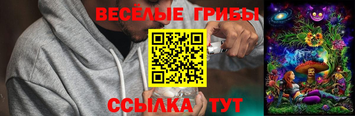 магазин    Вход с VPN  Киреевск  Галлюциногенные грибы мицелий 